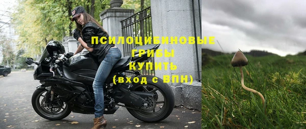 герыч Алексин