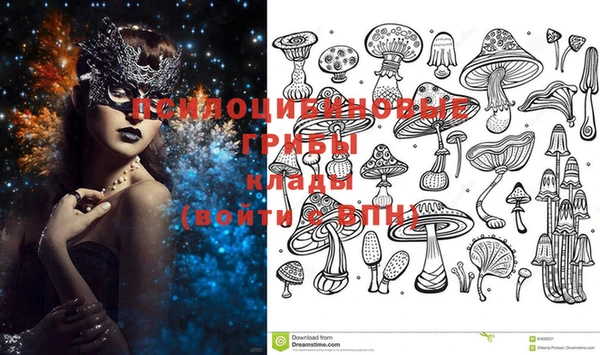 винт Алзамай