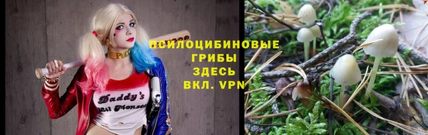 винт Алзамай