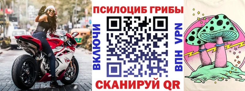 Псилоцибиновые грибы Psilocybine cubensis  Аргун 